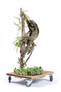 Image description is not available for 2009.1.6